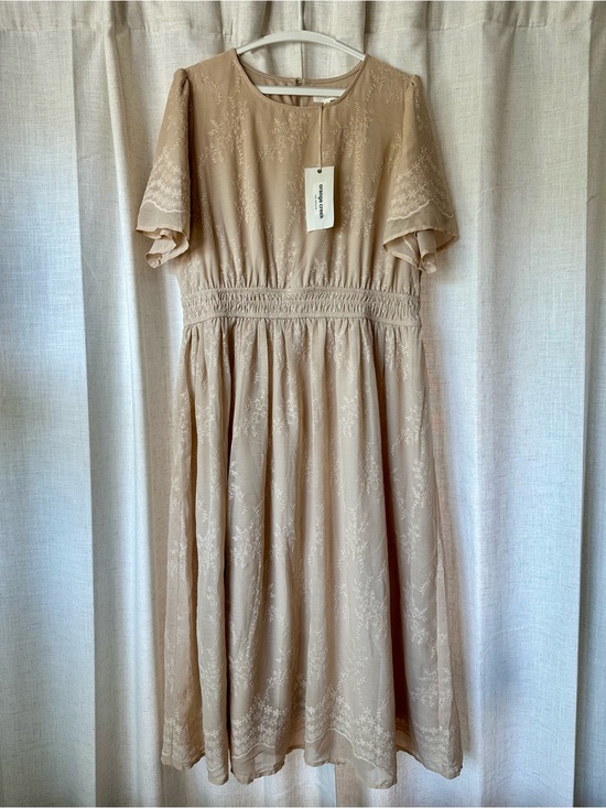 The Main Street Exchange Dresses & Skirts - XL NWT 'Cecilia' Embroidered Chiffon Midi Dress in Champagne